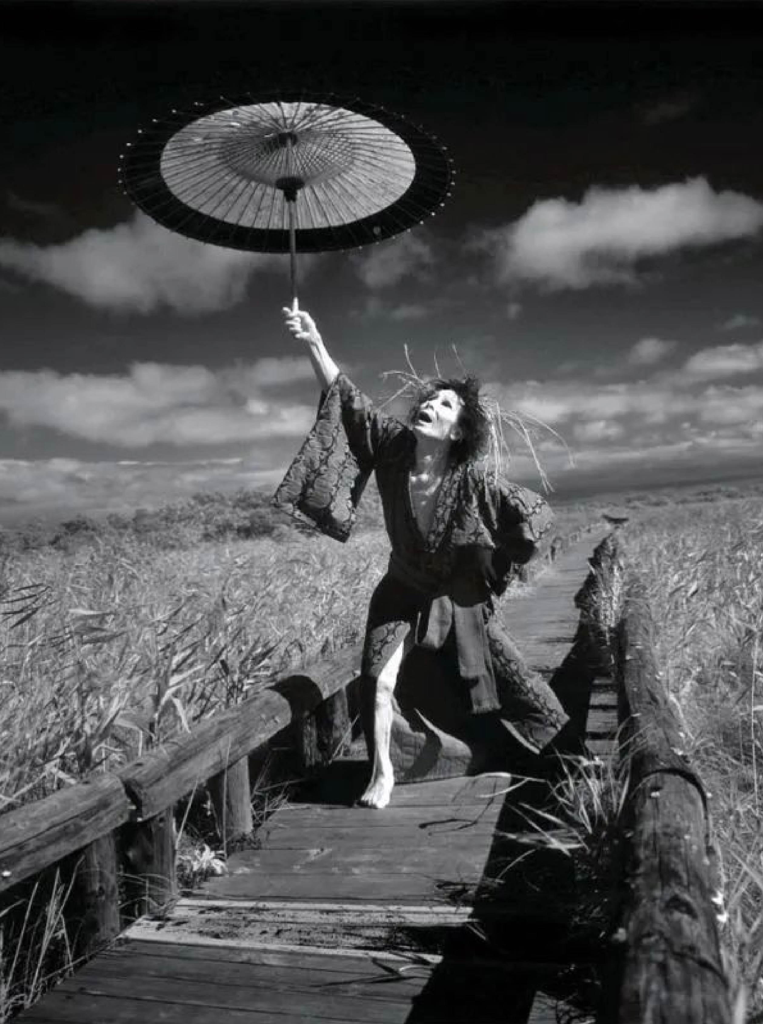 大野一雄/美と力 美と力」 Beauty and Strength （DVD） 出版物のご案内 ― 大野一雄舞踏